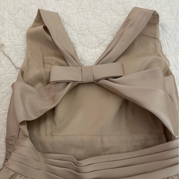 Backless Adrianna Papell, champagne, formal dress. Gorgeous. size 12 - Picture 11 of 16